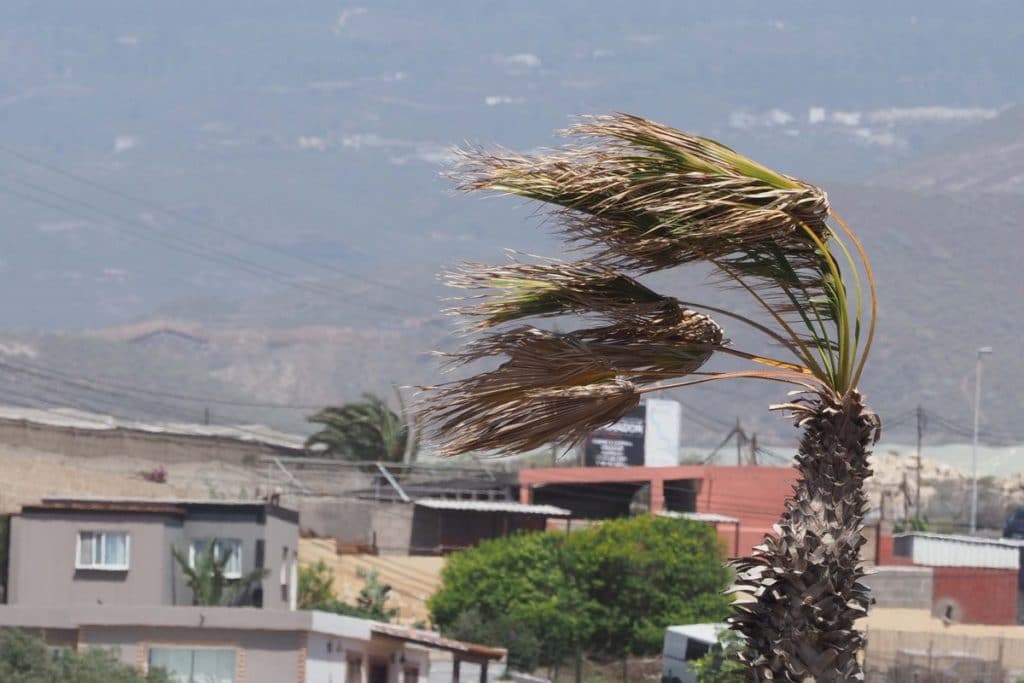 Tenerife espera rachas de viento de más de 90 km/h