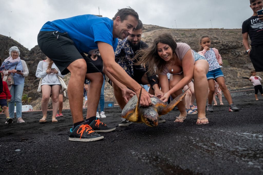 La Fundación DIARIO DE AVISOS impulsa la liberación de cinco tortugas en el mar