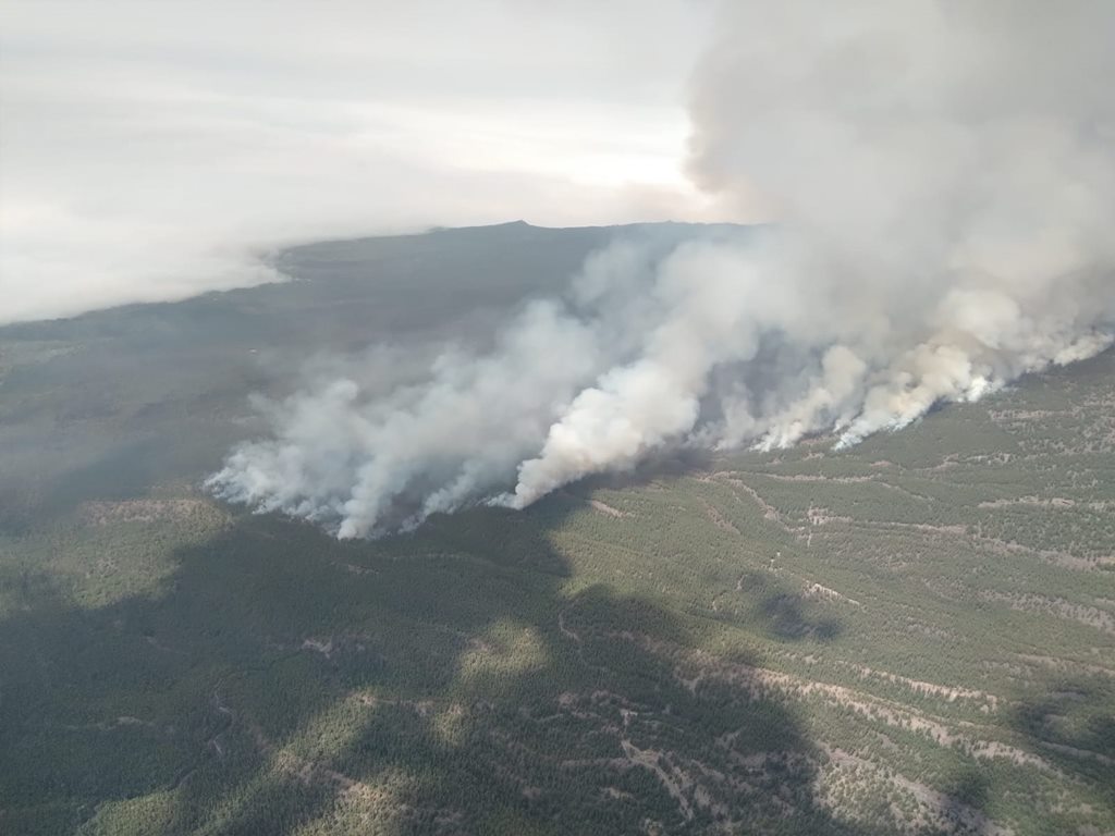 El incendio quema más de 800 hectáreas y llega a las inmediaciones del Parque Nacional del Teide