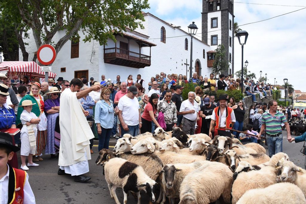 Tacoronte celebra mañana su romería en honor a San Isidro