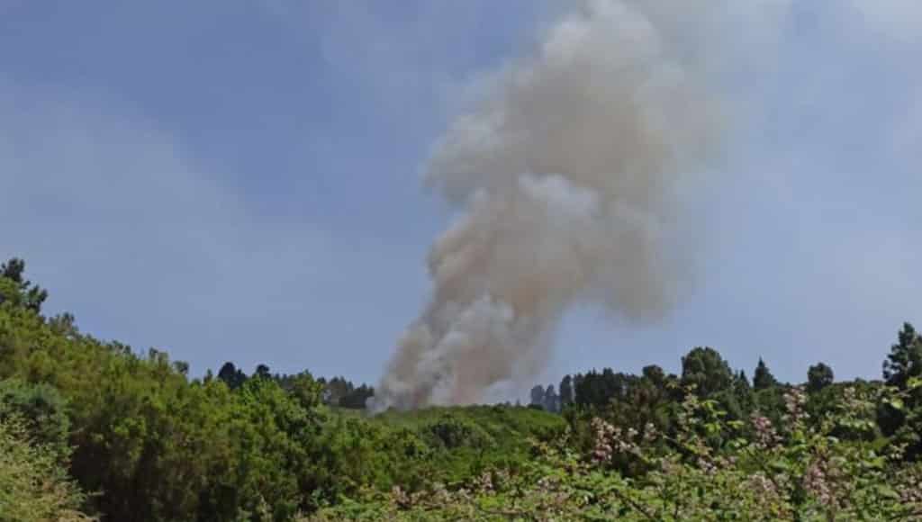 Alertan de un conato de incendio forestal en Los Realejos