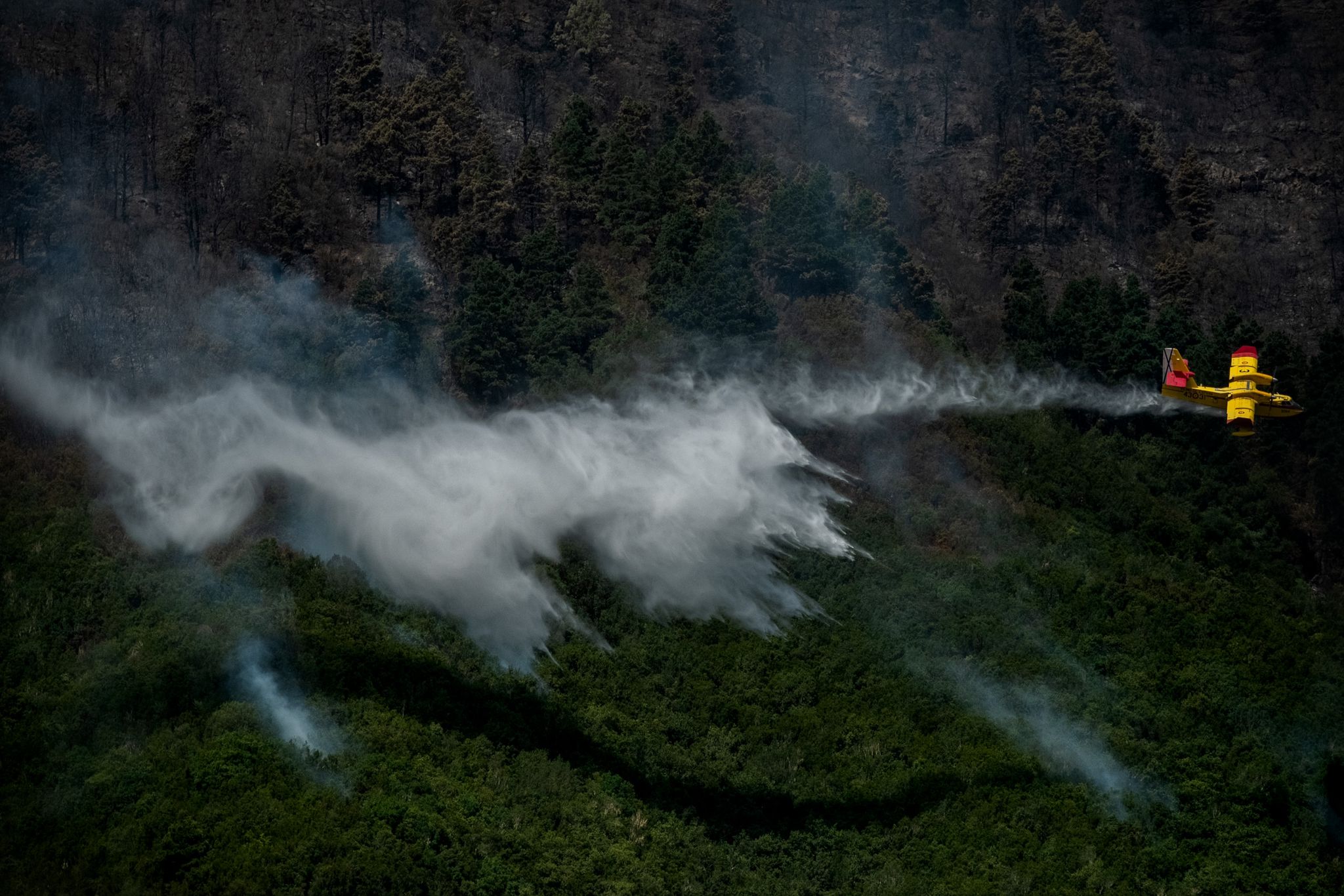 El incendio en Tenerife "empieza a caminar hacia su final"
