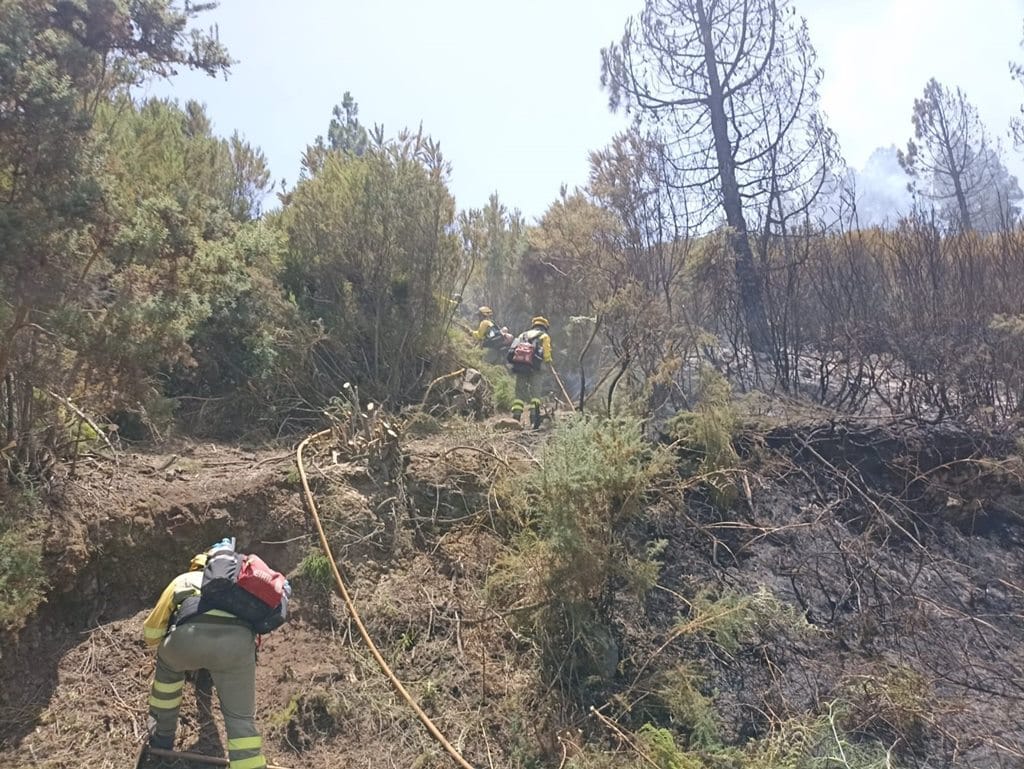 Brigadas forestales en el incendio del norte de Tenerife.