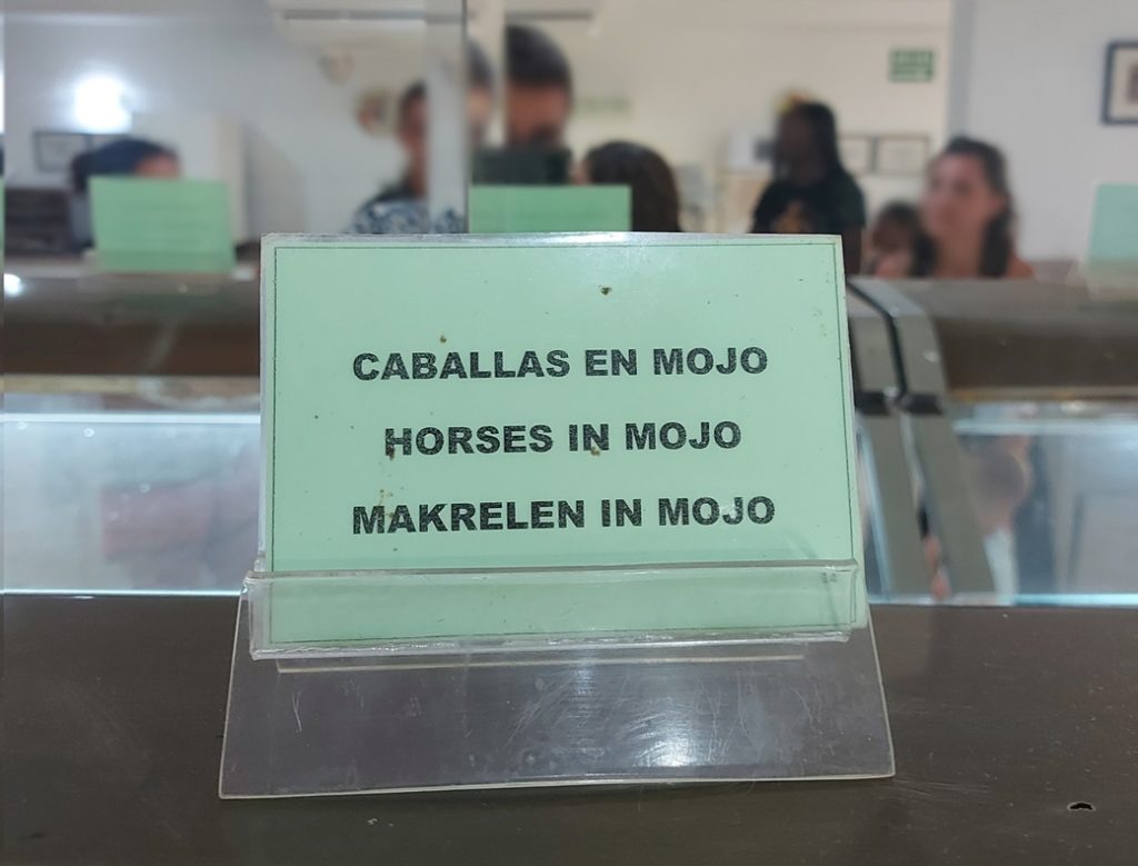 horses in mojo