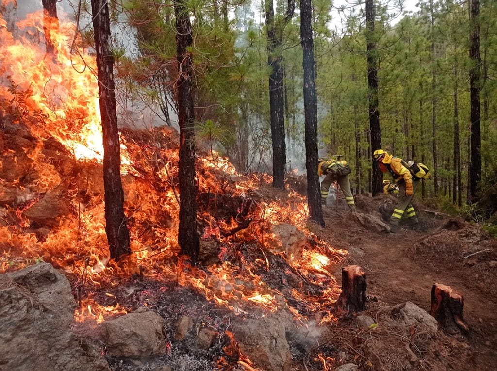 Riesgo de incendios forestales en Canarias: medidas y recomendaciones