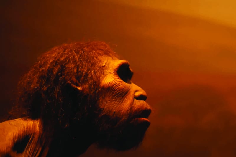 ¿Neandertales en África?