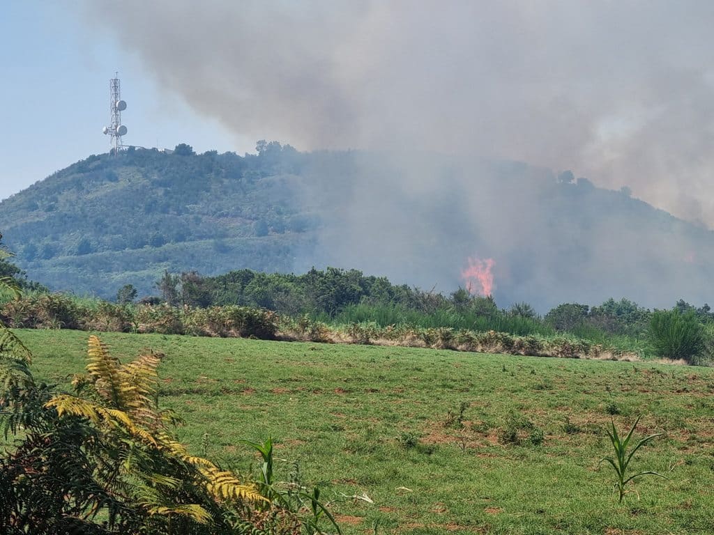 El incendio afecta a los municipios de El Rosario y La Laguna