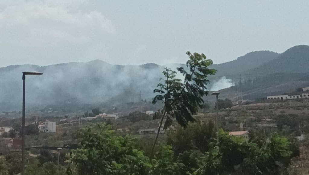 Declarado un conato de incendio forestal en La Esperanza