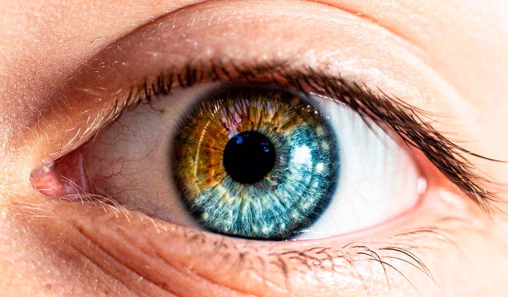 La mancha en el ojo que 'anuncia' un cáncer: los síntomas más evidentes del melanoma ocular