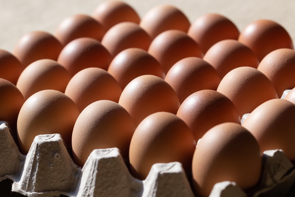Alerta científica por los huevos de gallina que debes evitar a toda costa