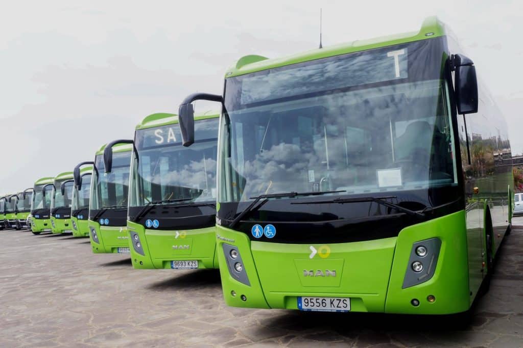 buses in Tenerife