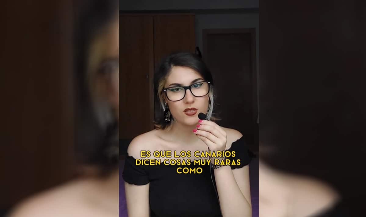 críticas a Canarias