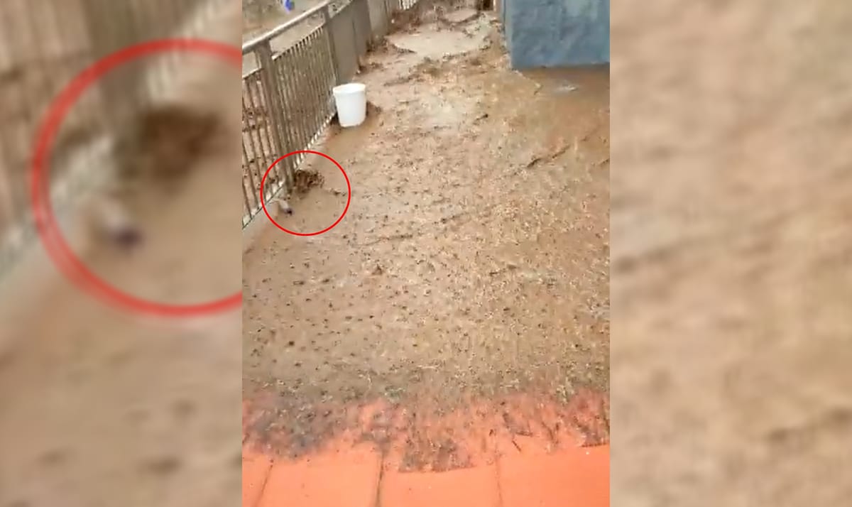 tromba de agua en canarias