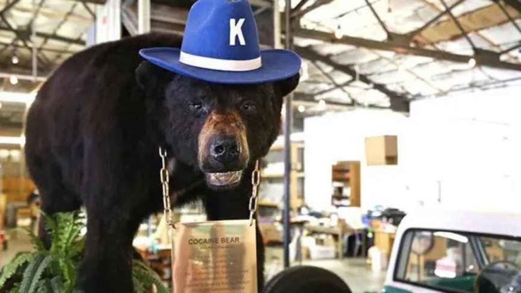 Imagen del oso de cocaína en el Kentuky Fun Mall Kentuky Fun Mall
