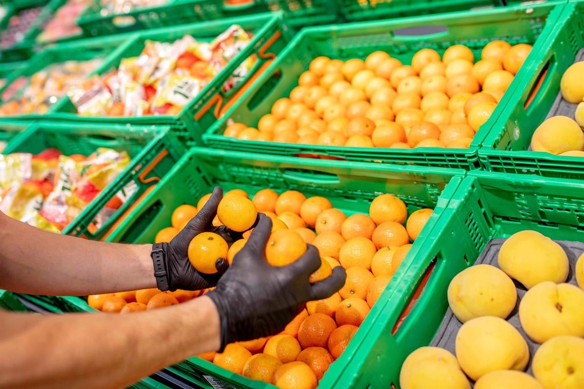 Mercadona busca personal sin experiencia en varias tiendas de Tenerife por 2.280 euros: cómo inscribirte