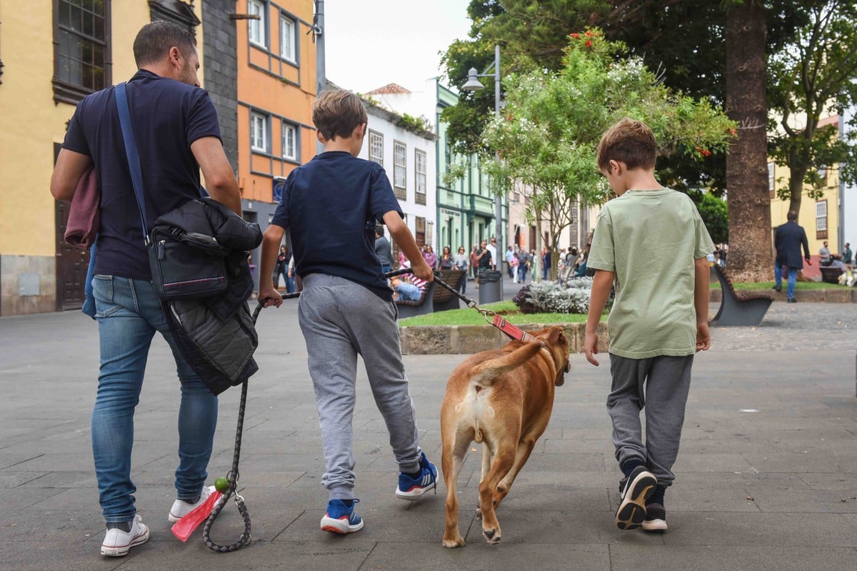 más perros que niños