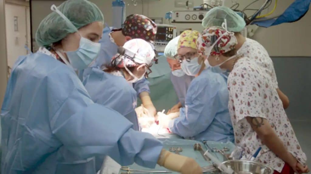 De una persona fallecida a una bebé de 13 meses: España logra el primer trasplante de intestino en asistolia