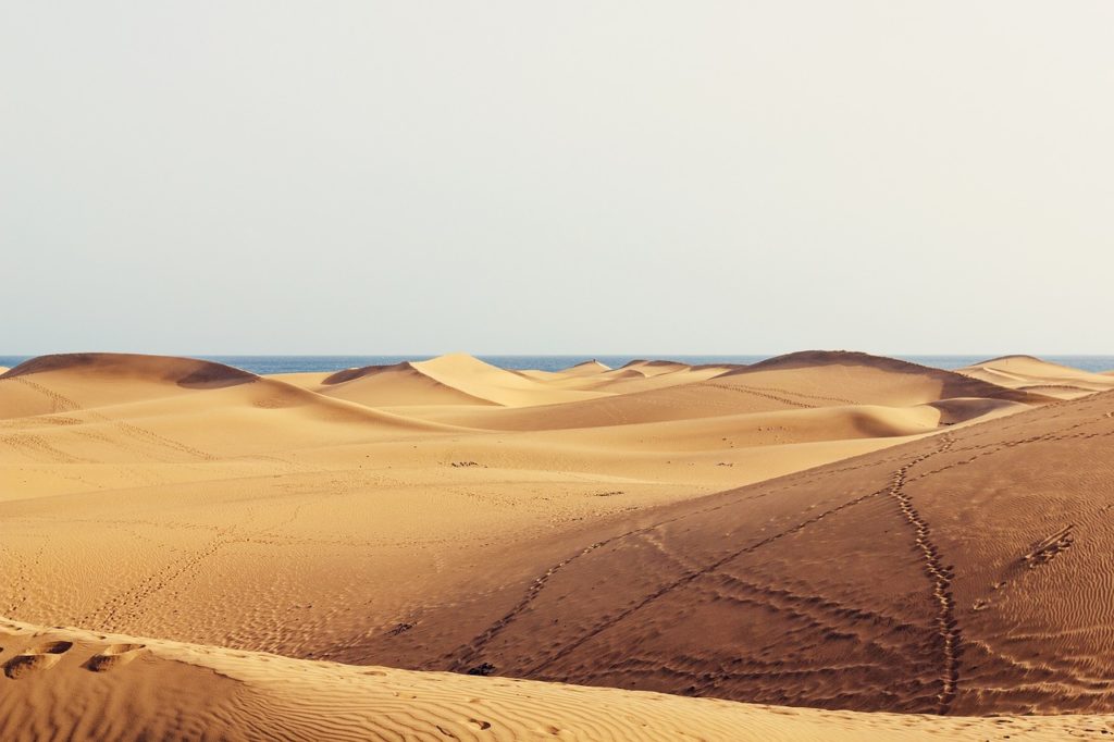 Dunas de Maspalomas