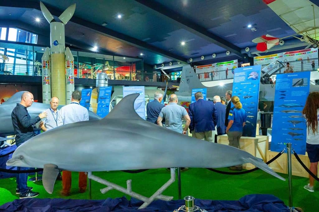 El proyecto MARCET II arranca su exposición itinerante sobre cetáceos en el museo Elder