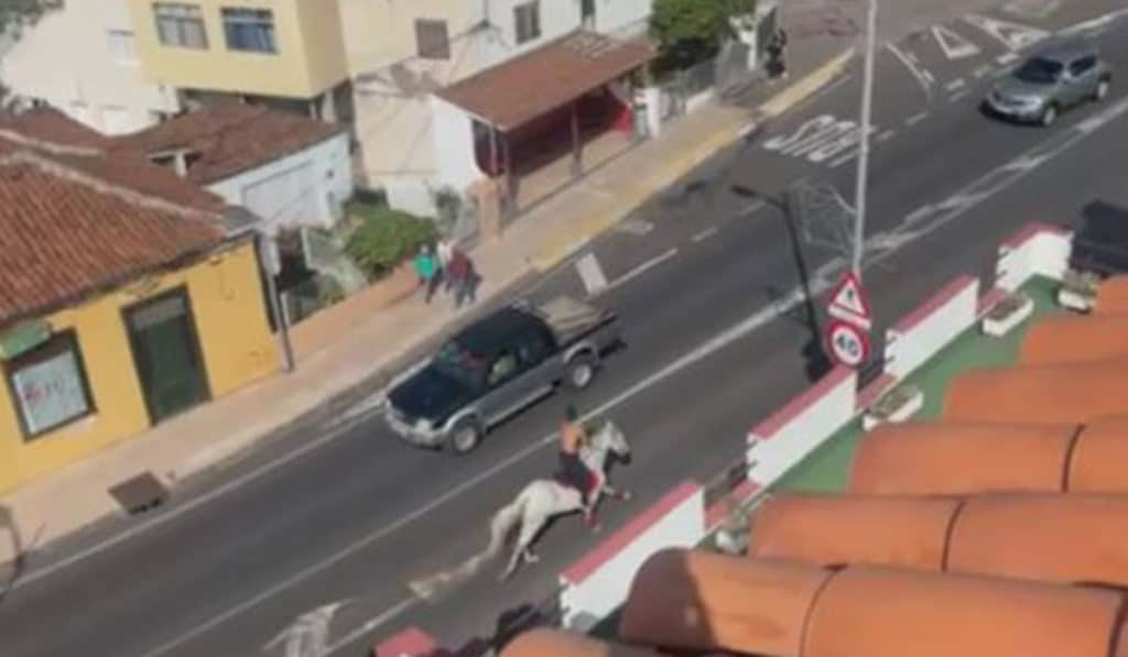 Cabalgada 'letal' en Santa Úrsula: intenta agredir con los estribos en plena calle
