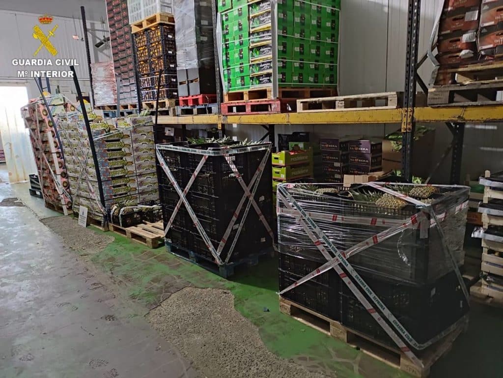 Confiscan en Canarias 2.117 kilos de piñas, melones y aguacates