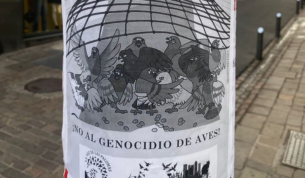 "No al genocidio": Santa Cruz amanece empapelada contra la captura de palomas