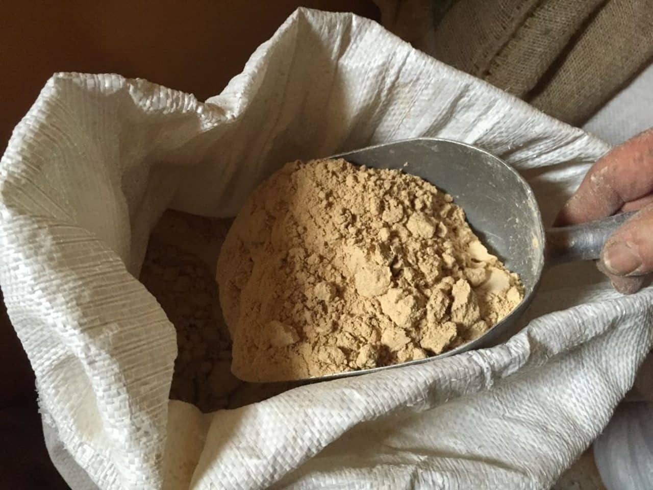 Mil toneladas de gofio para ayudar contra la hambruna en África