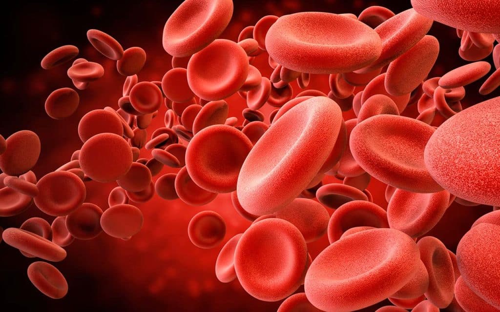 Descubren una nueva hemoglobina anómala en un paciente tinerfeño