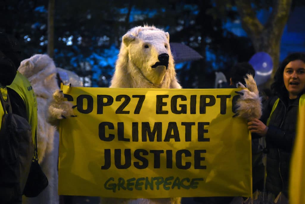 Miles de personas exigen "voluntad política" frente a la crisis climática