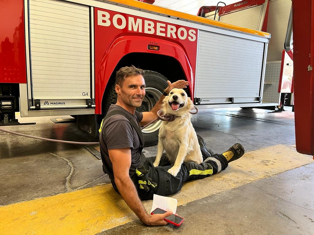 Olaf, el perro rescatado por bomberos canarios tras pasar días sin agua ni comida