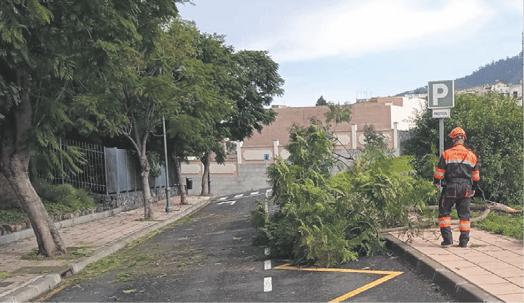Las fuertes e incesantes lluvias dejan varias incidencias en Tenerife. | DA
