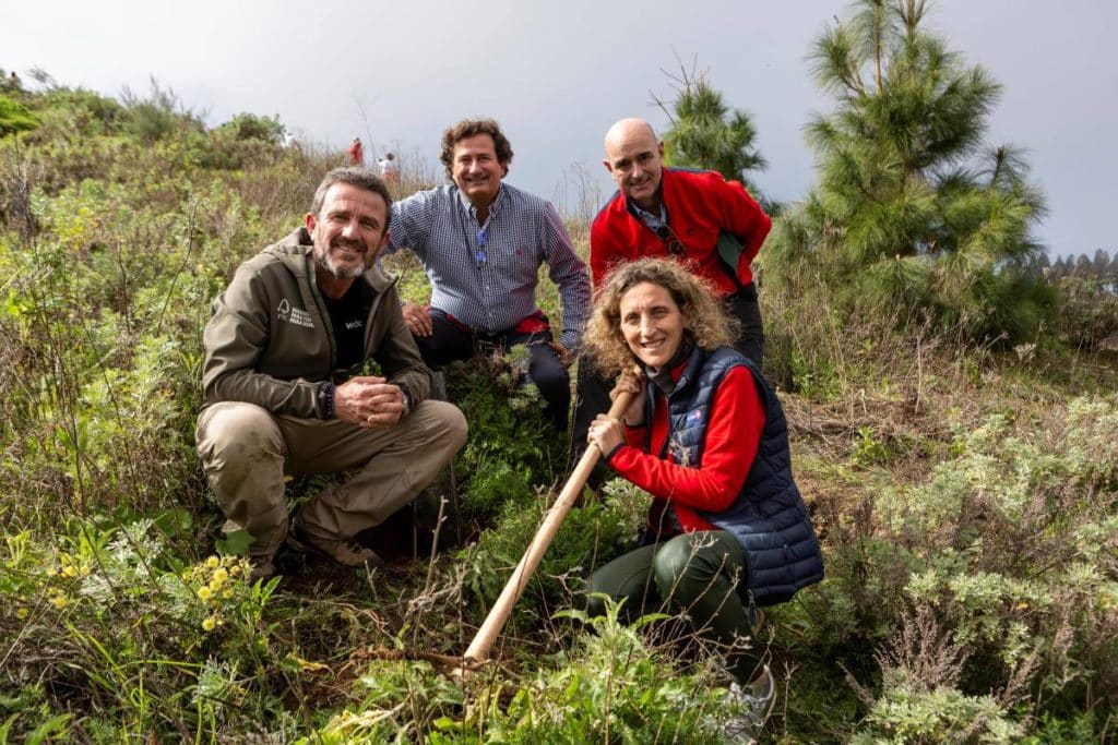 FSC, Carrefour y Mahou San Miguel reforestan más de cinco hectáreas de terreno canario