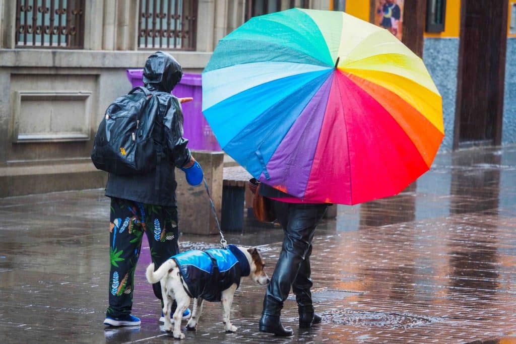 Lluvias en Canarias