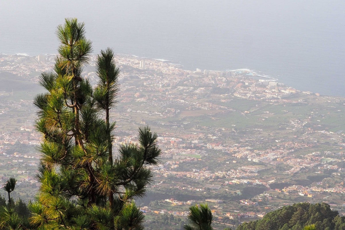 Calima en Canarias: aviso amarillo en tres islas y no se descartan tormentas
