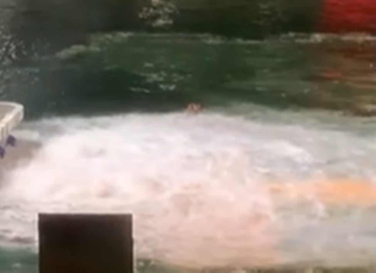 Llega tarde a coger el barco en Santa Cruz y cae al agua tratando de ...