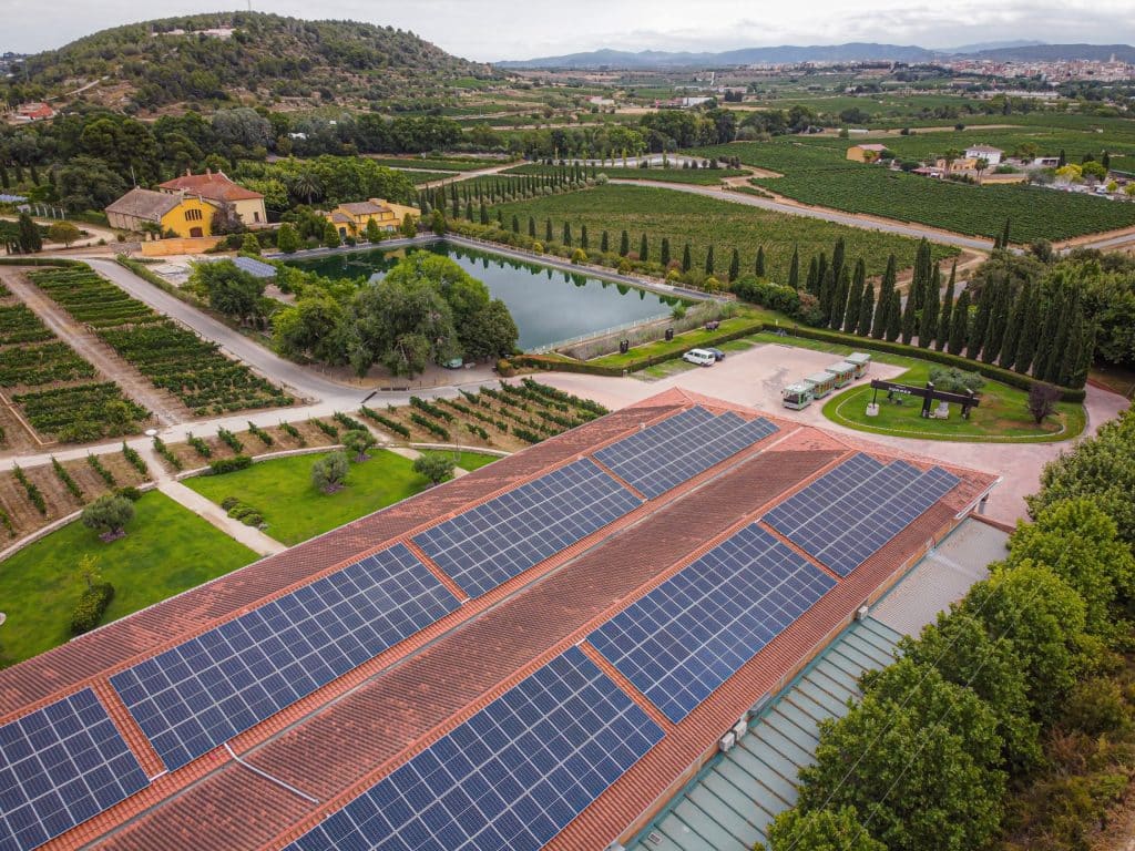 Marimar Estate La Masía, entre los mejores chardonnays del mundo