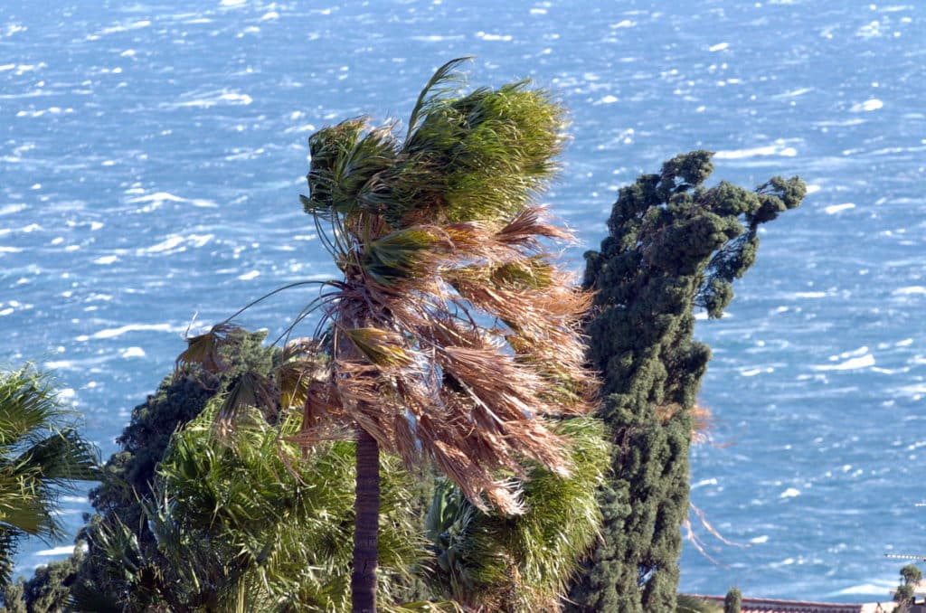 viento en Canarias