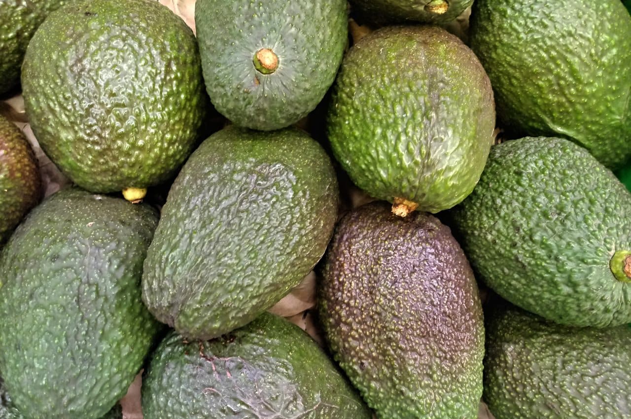 Aguacates