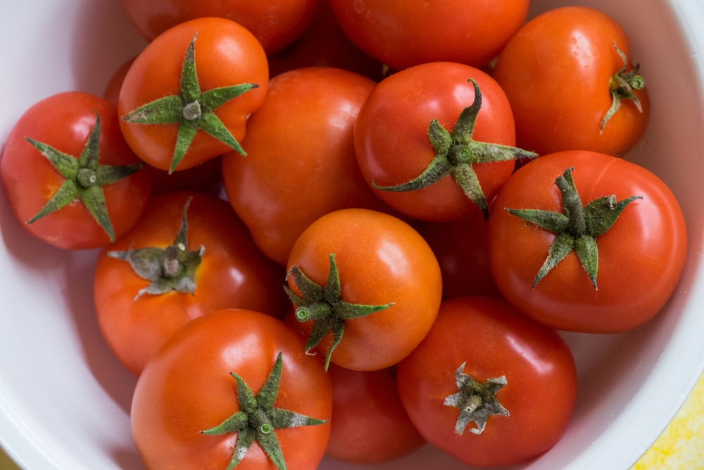 La agonía del tomate canario: menos cultivo, competencia de Marruecos y subida de costes