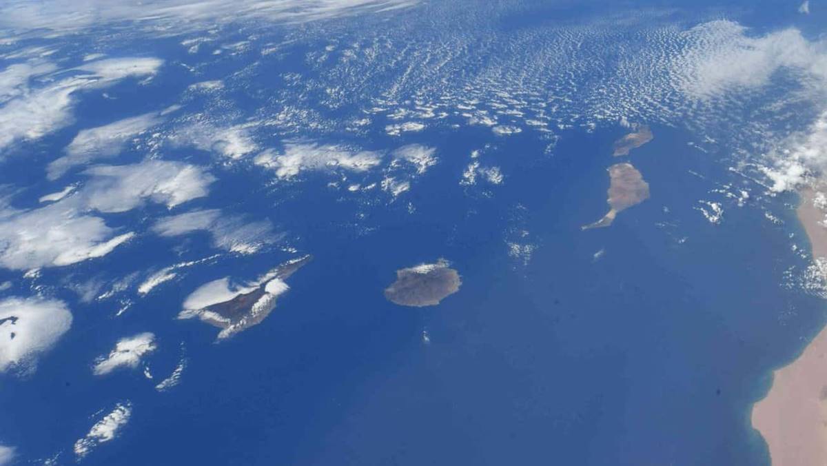 Así se reparten los 561 km2 en cuatro islas para la eólica marina en Canarias