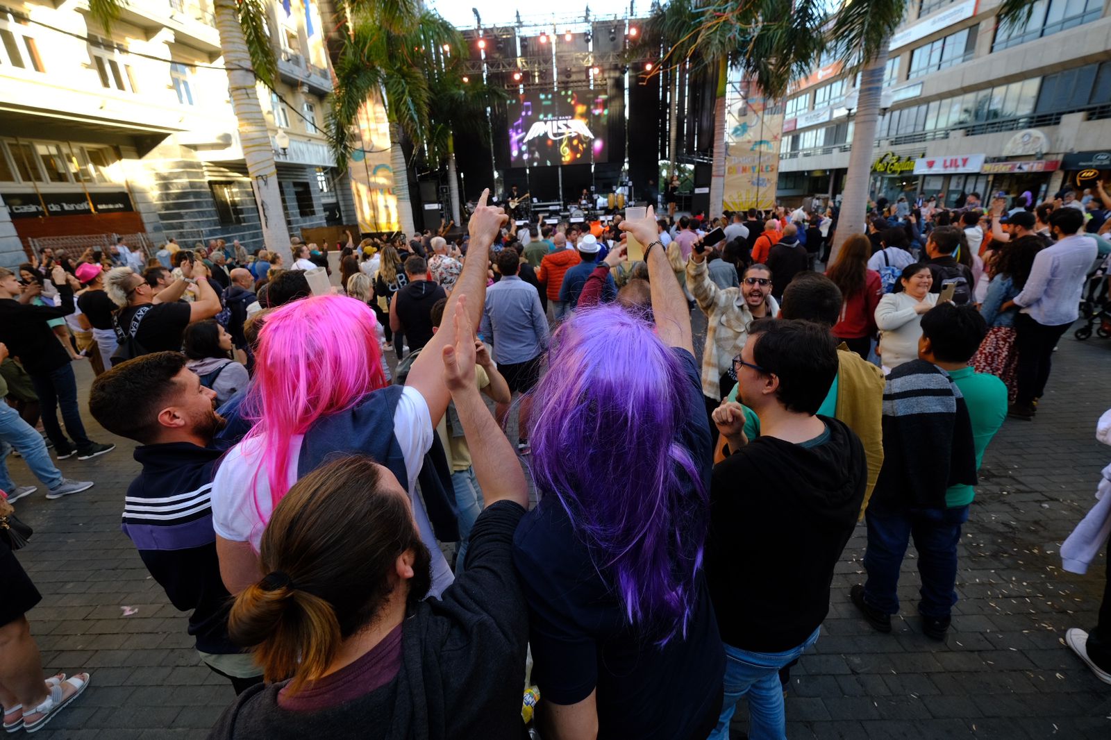 Carnaval de Santa Cruz