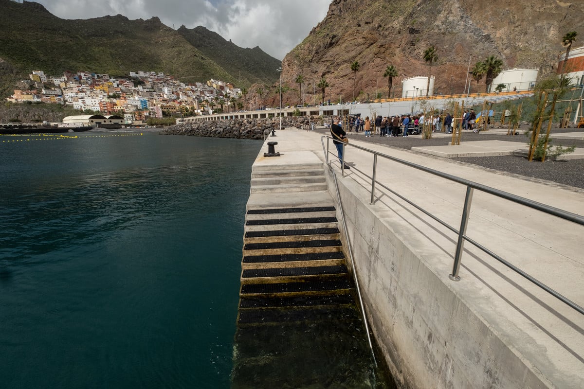La playa de Acapulco permitirá el acceso de perros.