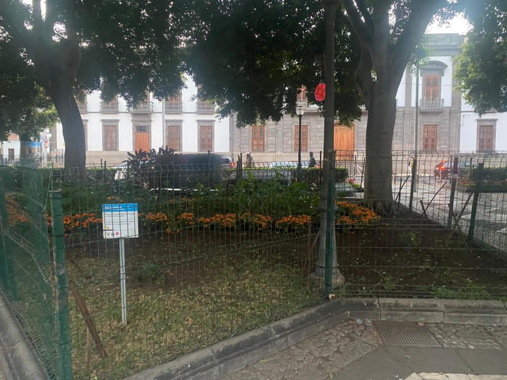 La señal inequívoca de que el Carnaval se acerca a las calles de Santa Cruz de Tenerife