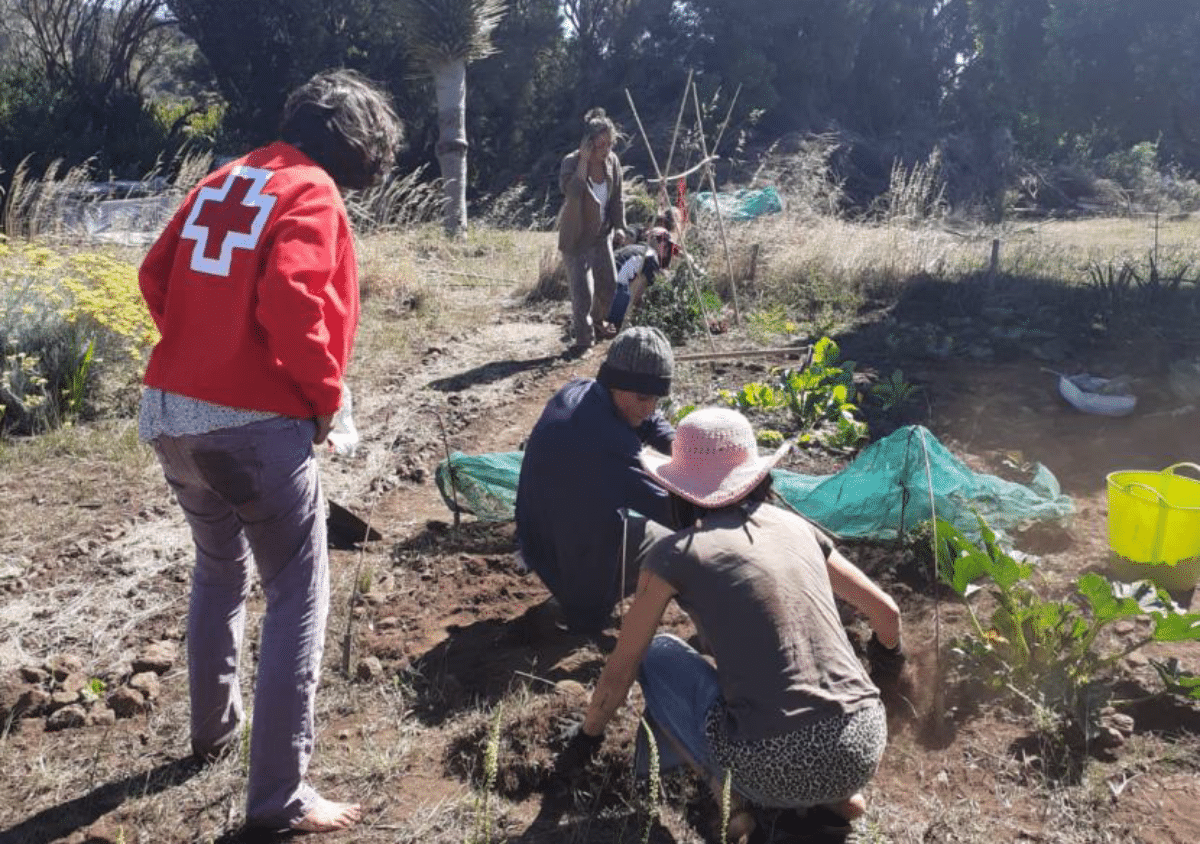 Fundación Cepsa y Cruz Roja, con los afectados por el volcán de La Palma