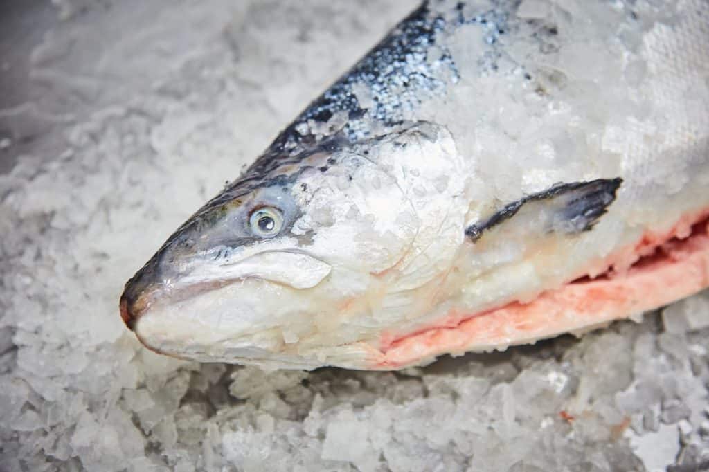 El plato de pescado más cruel: se fríe el cuerpo y se protege la cabeza