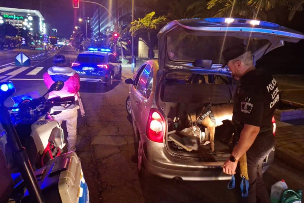 El hachís, la droga más intervenida durante el Carnaval de Santa Cruz de Tenerife