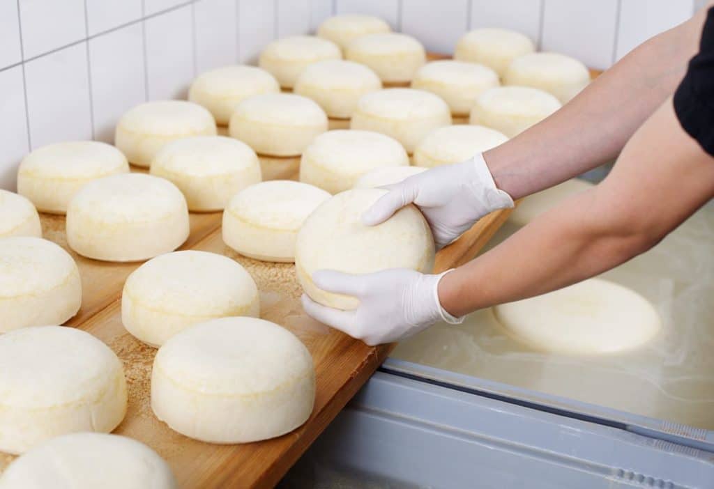 El mejor queso de Tenerife se hace en el sur de la Isla