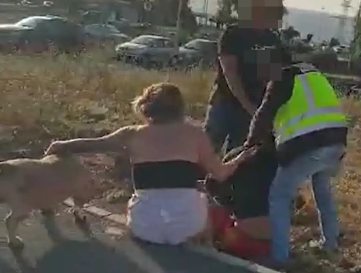 perro en Granadilla