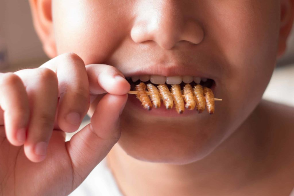 Acusan a un colegio de adoctrinar a los alumnos por ofrecerles insectos para comer