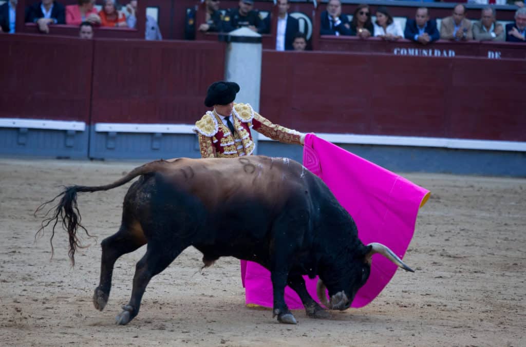 toros en Canarias